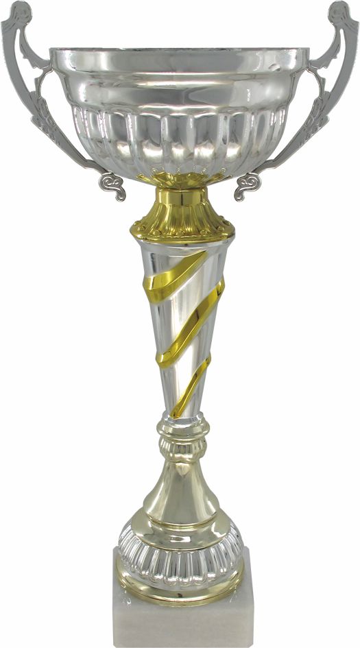 Кубок 121