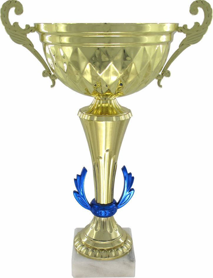 Кубок 146