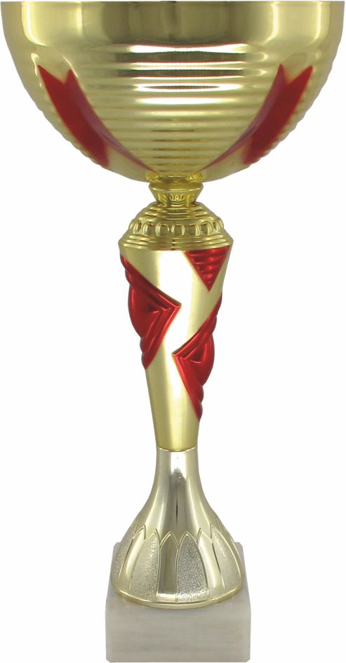Кубок 164