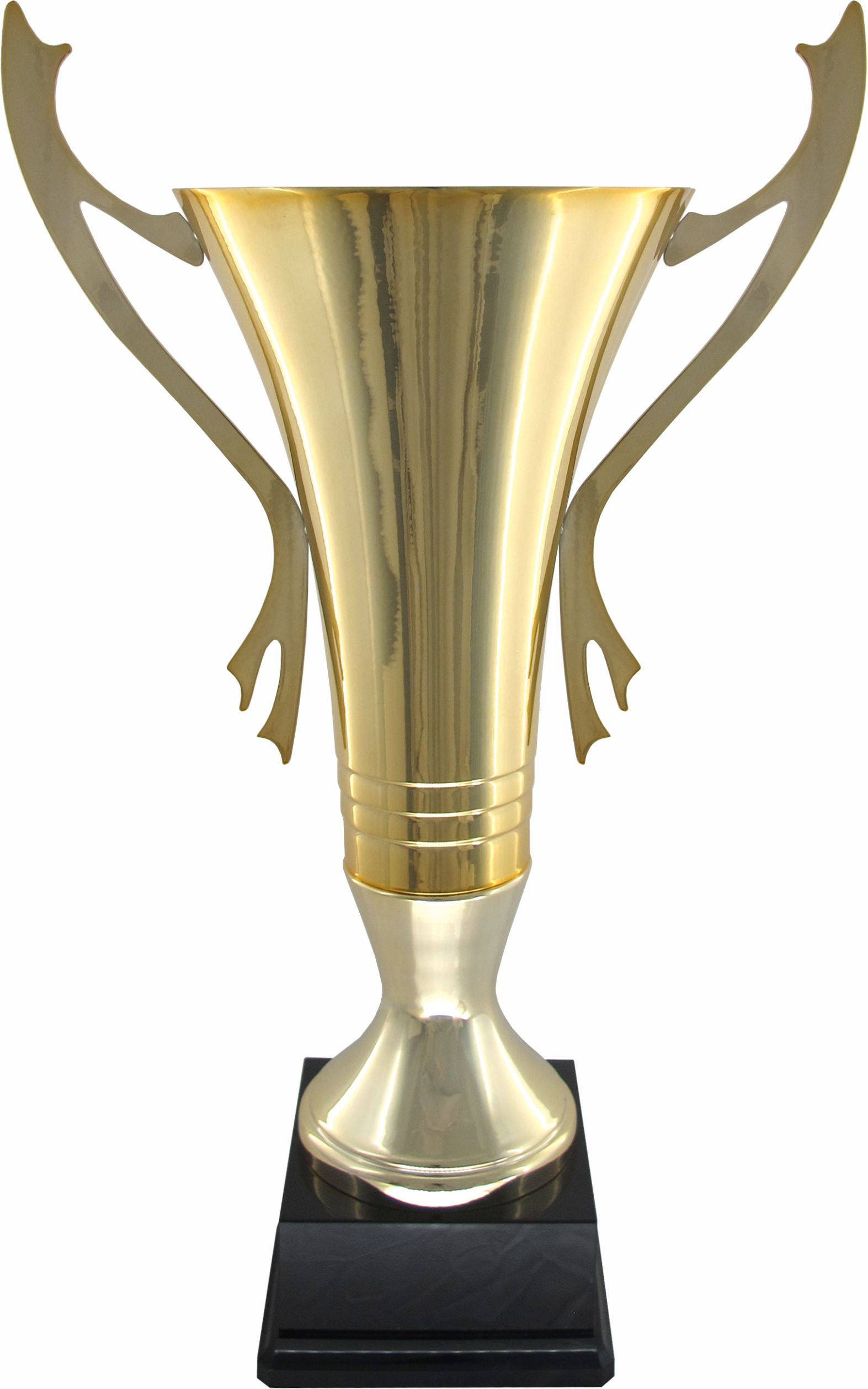 Кубок 500