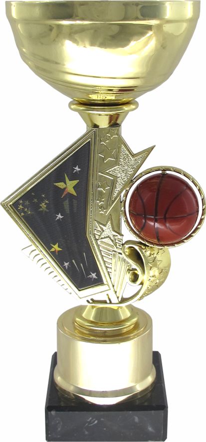 Кубок 504
