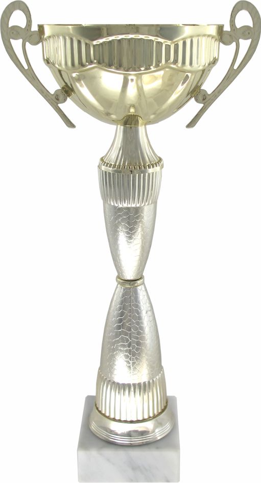 Кубок 528