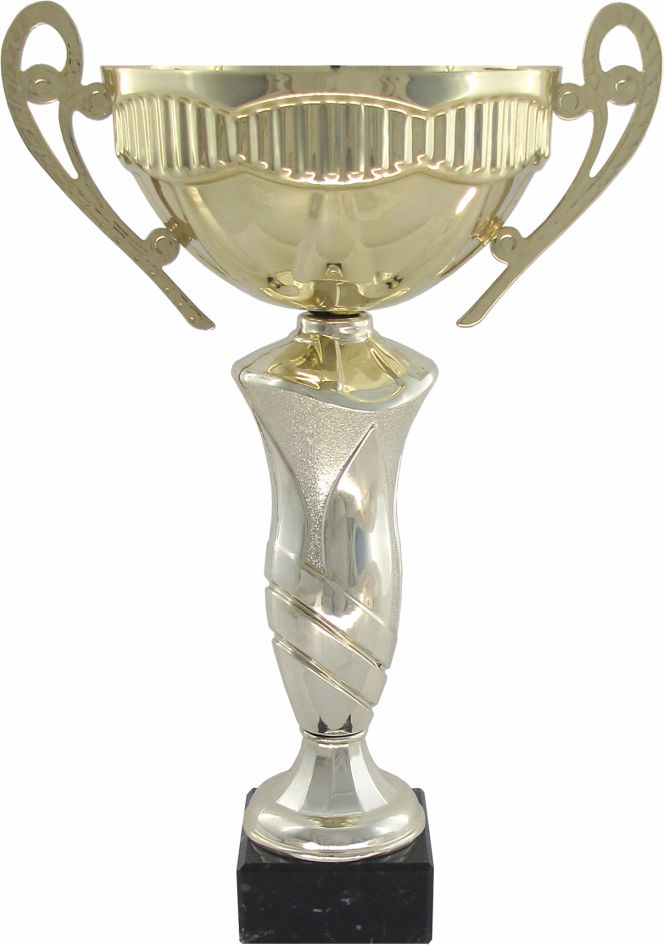 Кубок 534