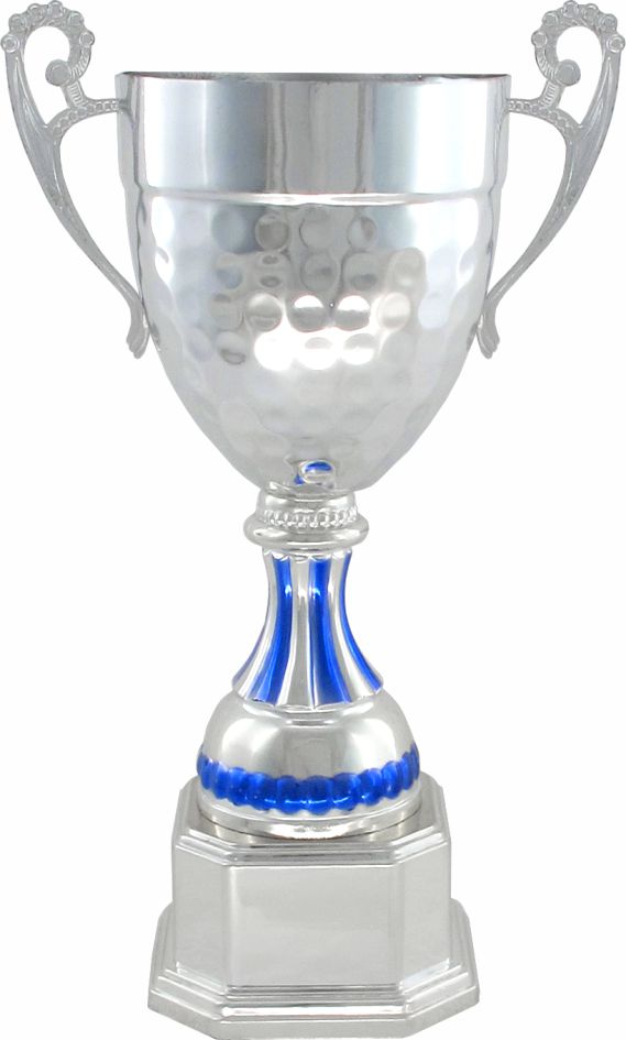 Кубок 538