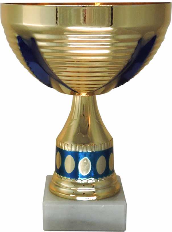 Кубок 54