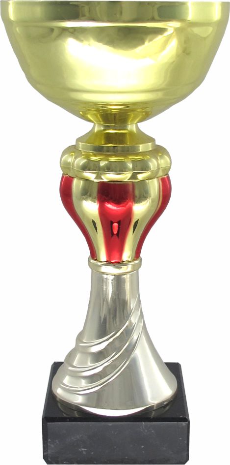 Кубок 570
