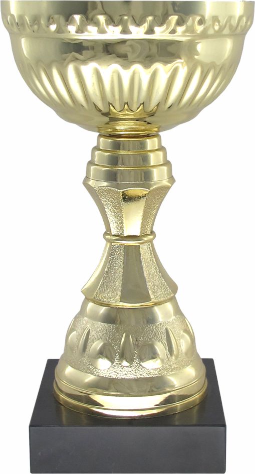 Кубок 571