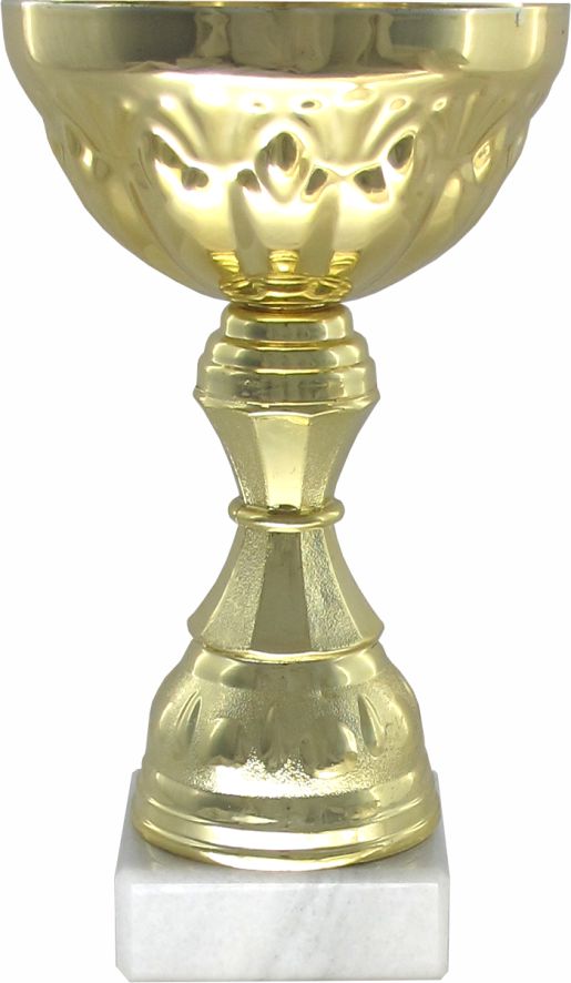 Кубок 572