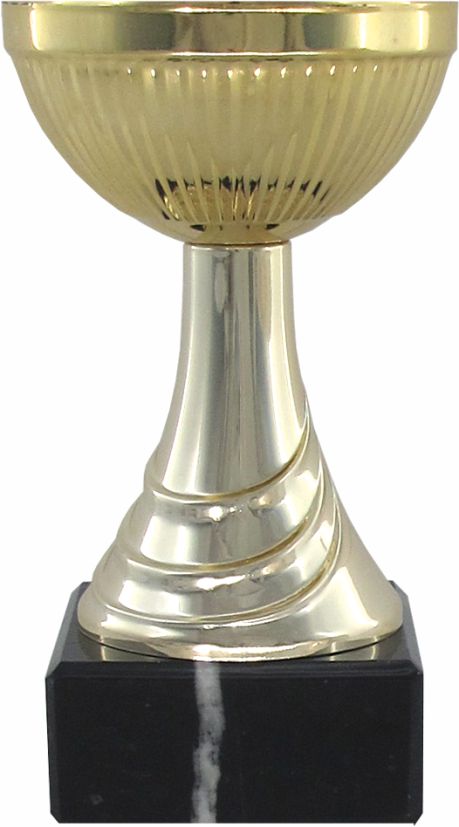 Кубок 573